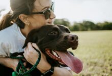 Photo of Собаки могут чувствовать болезнь Паркинсона по запаху